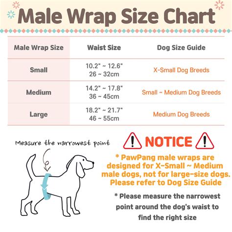 Reusable Male Wrap & Dog Diaper Liners Set – PawPang