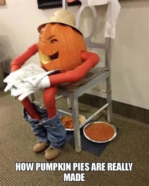 25 Best Pumpkin Memes And Jokes For Fall Lovers