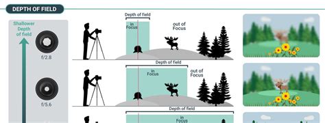 Depth Of Field Diagram