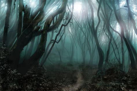 Spooky Forest Wallpaper - WallpaperSafari