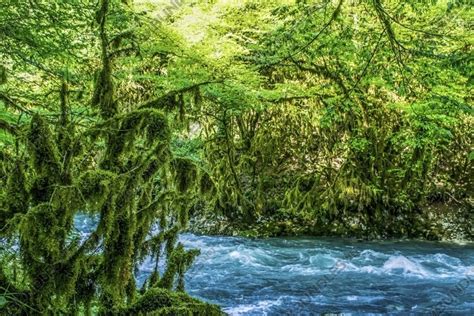 Landscape with a turbulent mountain river