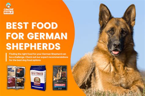 German Shepherd Raw Food Diet Guide: Best Recipes, Benefits & More ...