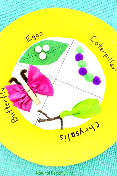 Easy Butterfly Life Cycle Craft Kids Love - Paper Plate Craft - Natural ...