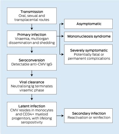 Cytomegalovirus disease in immunocompetent adults | The Medical Journal ...