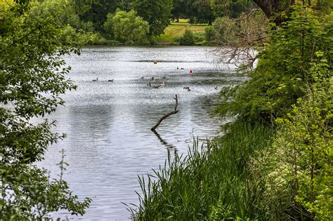 10 Best Things to Do in Maidstone - Discover the Best of this Kentish ...