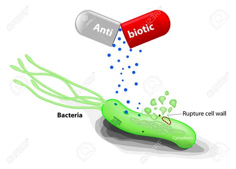 Antibiotics clipart - Clipground