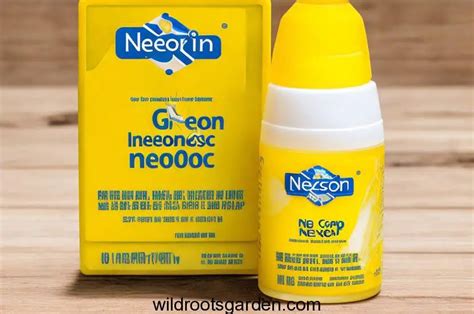 Which is Better for Burns? Aloe Vera vs. Neosporin