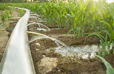 Principles of irrigation systems design | Cropaia