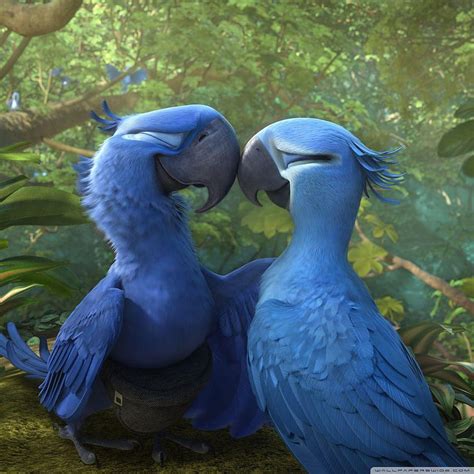 Rio 2 Blu and Jewel for Ultra TV, rio movie HD phone wallpaper | Pxfuel