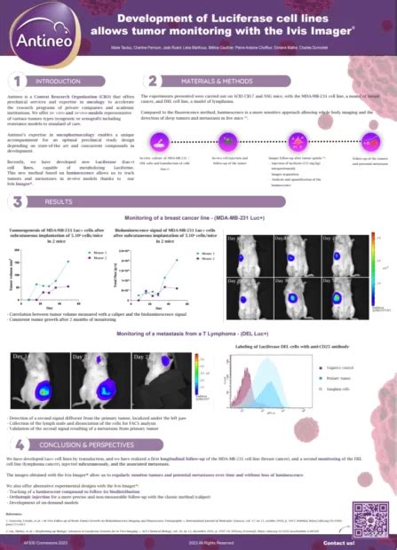 Poster #1 - Development of Luciferase cell lines allows tumor ...