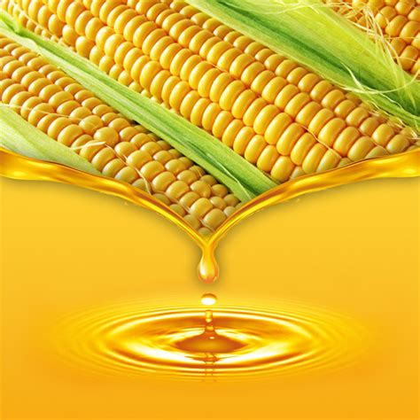 Refined Corn Cooking Oil – Daltam Warehouse Company Limited