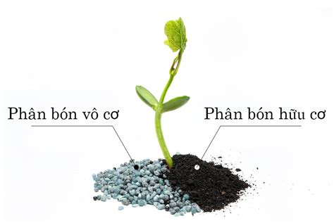 Sự khác biệt giữa phân bón vô cơ và phân bón hữu cơ