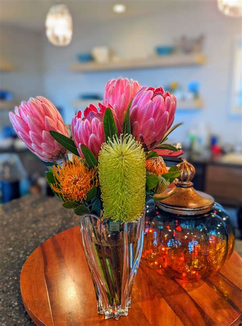 The Most Beautiful Protea Varieties – Sending You Aloha