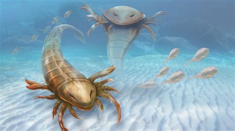 Strange Looking New Species Of Eurypterid Found In Iowa - Fossil News ...