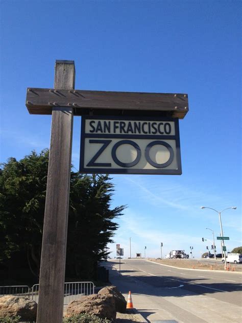 San Francisco Zoo | San francisco zoo, Napa trip, San francisco bay area