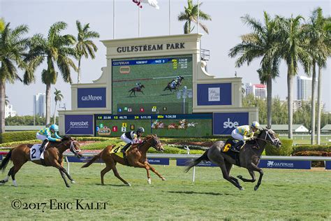 Gulfstream Park announced today it will increase overnight purses 10 ...