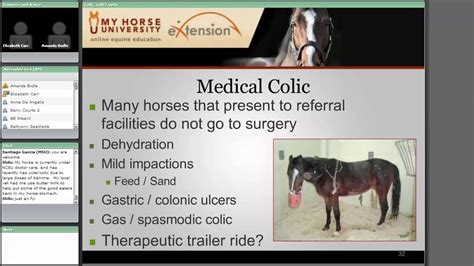 Equine Colic - AACIS