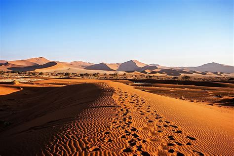 Animals That Live in the Namib Desert - WorldAtlas