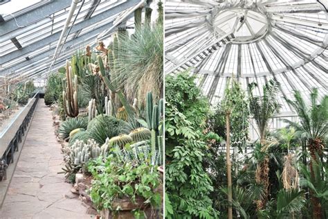 Back to Nature in Copenhagen Botanical Garden - Michelle Franc ...