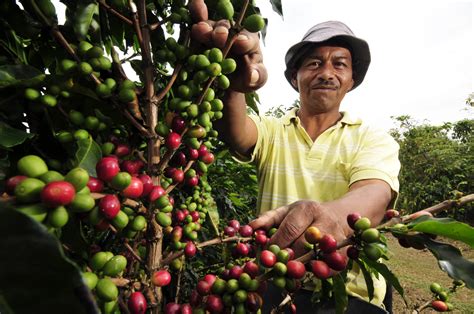 ¿No hay campesinos en el campo colombiano? | BBVA