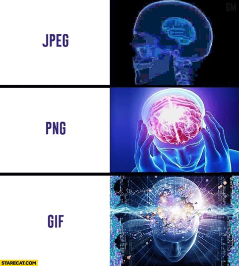 Brain memes: jpg, png, gif comparison animation | StareCat.com