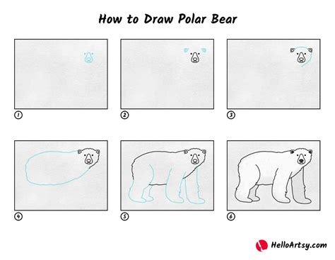 How to Draw Polar Bear - HelloArtsy