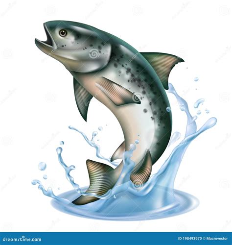 Fish Jumping Between Toilets Stock Image | CartoonDealer.com #7772251