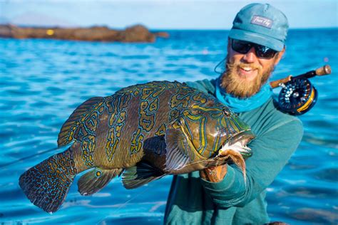 Angler Story of the Week: The Giant Hawkfish - Flylords Mag