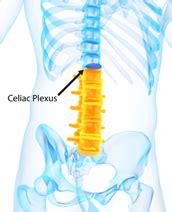 Celiac Plexus Block - Midland Spine Institute