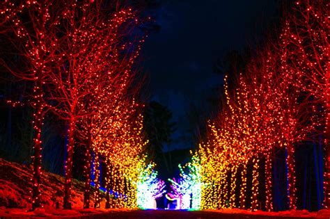 Winterlights - Naumkeag | Berkshires MA