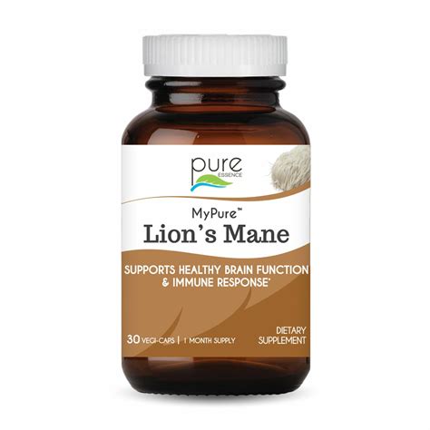 Best Lion’s Mane Supplement for Focus and Mood - Drug Genius