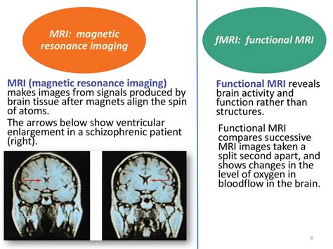 Chapter 2 The Biology of Mind © 2013 Worth Publishers. - ppt download