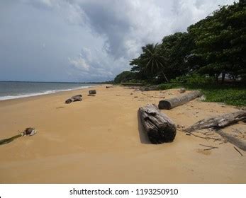 Beaches Libreville Gabon Stock Photo 1193250910 | Shutterstock