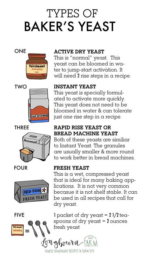 Types of baker s yeast – Artofit