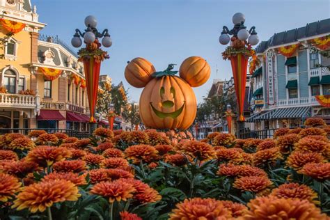 Disneylandia adelanta Halloween y Navidad a los californianos - Los ...