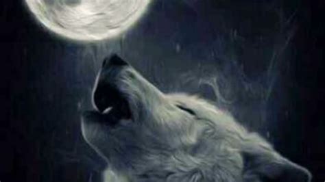 Wolf howling sound effect - YouTube