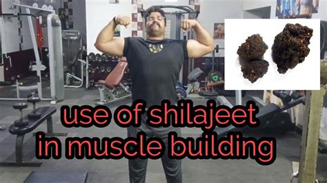 benefits and side effects of shilajeet #vlog #gym #exercise #training # ...