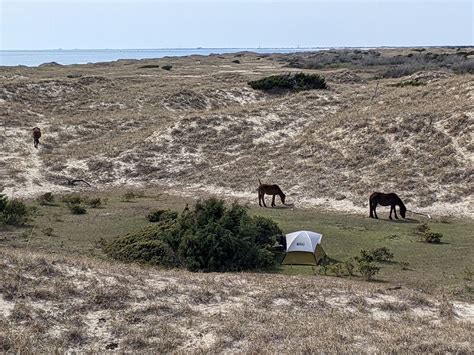 The ‘Other Kind’ Of Coastal Camping On Shackleford Banks