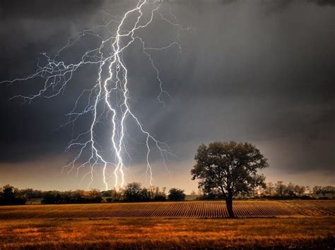 Dry Lightning Forecast In Bay Area, Fire Risk Increased | Pleasanton ...