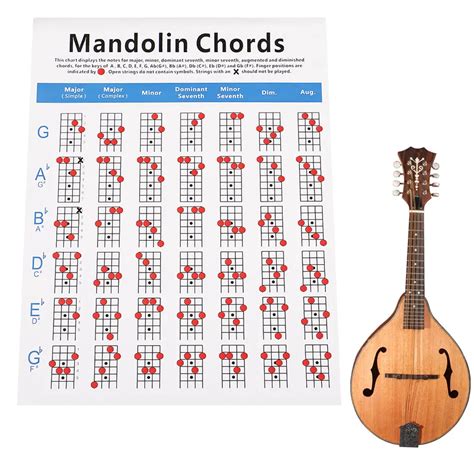 What Key Is the Mandolin In? Unveiling the Mysterious Sound of the Mandolin