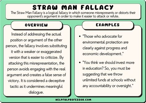 15 Straw Man Fallacy Examples (2024)