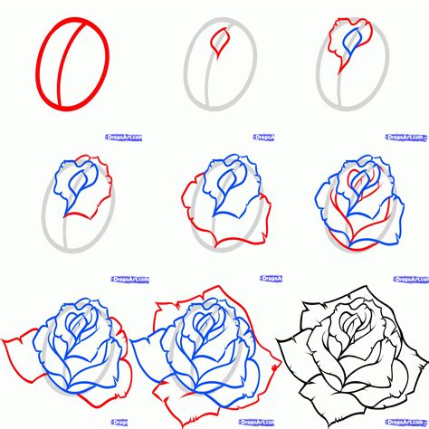 How To Draw A Rose Bush Step By Step Easy : Drawing a rose just got ...