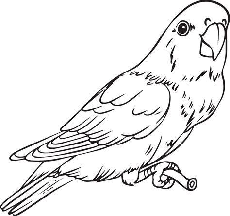 Parrot on a branch. Handmade drawing in black and white. For colouring ...