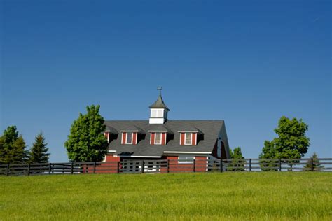 Less is More: How to Keep Horses on Small Acreage - Horse Rookie