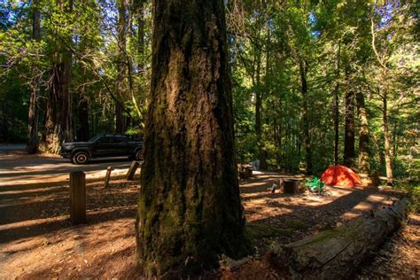 Portola Redwoods State Park - ThatsMyPark