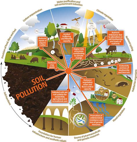 Ecosystems impairment caused by soil pollution