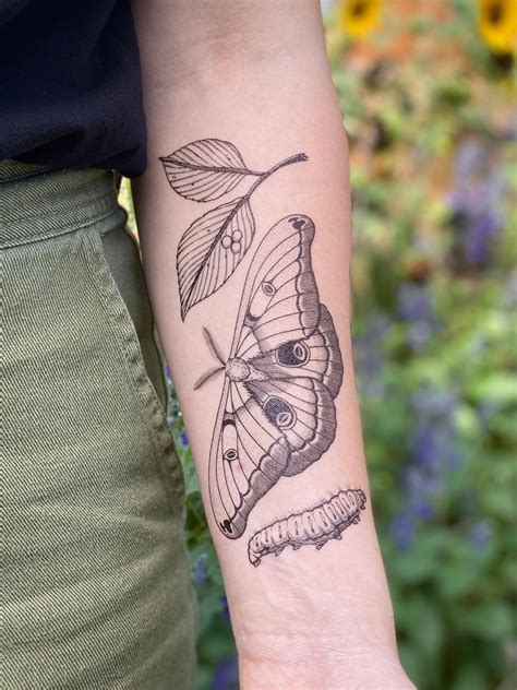 Polyphemus Moth Temporary Tattoo Lifecycle Design Nature - Etsy