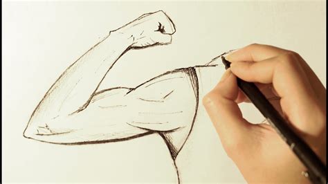 How To Draw Biceps Easy Before we cover the quad and hamstring muscles