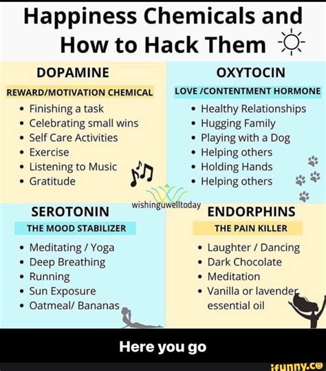 CHEMICAL Happiness Chemicals and How to Hack Them DOPAMINE Finishing a ...