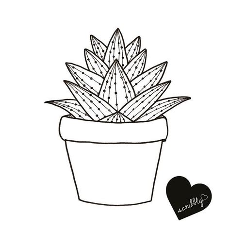 Cactus Drawing Outline at GetDrawings | Free download